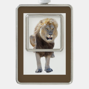 Isolated lion sitting and sticking out your tongue silver plated framed ornament