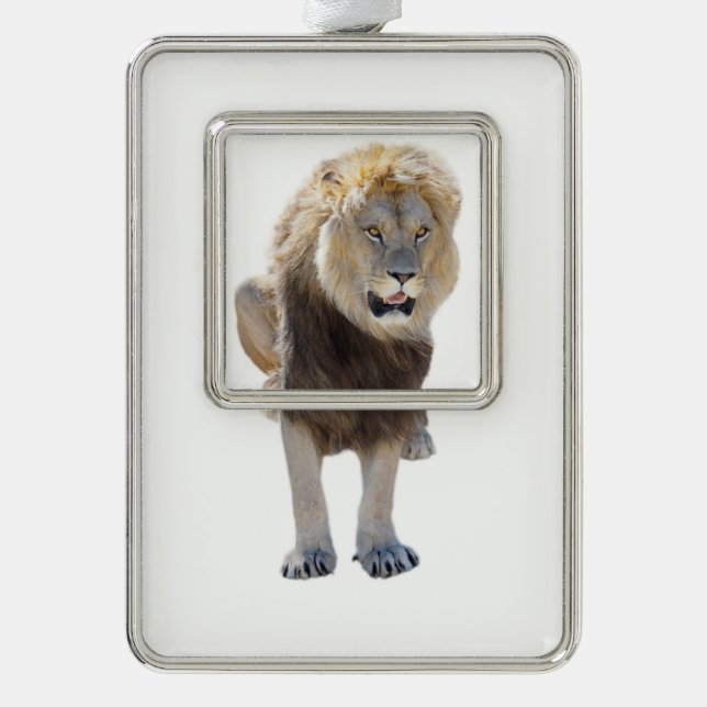 Isolated lion sitting and sticking out your tongue silver plated framed ornament (Front)