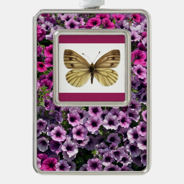 Isolated of green-veined white butterfly postcard silver plated framed ornament (Front)