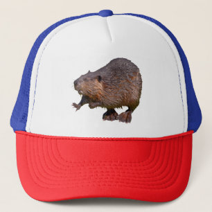 Isolated of North American Beaver Postcard Square Trucker Hat