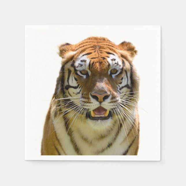 Isolated of portrait tiger and showing teeth napkin (Front)