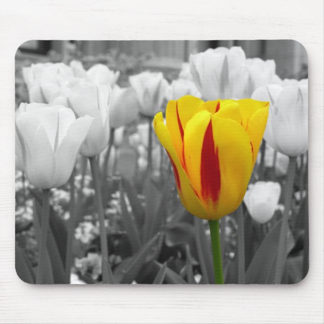 Isolated Tuli[ Mouse Pad (Front)