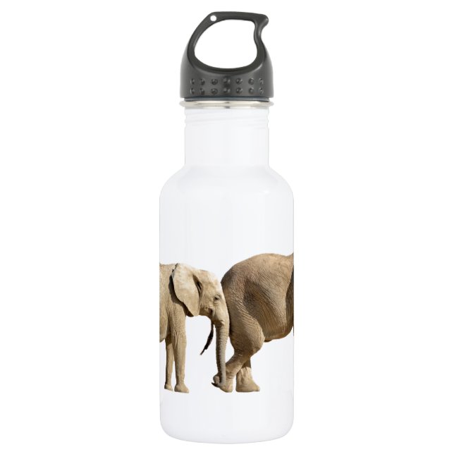 Isolated two African elephants 532 Ml Water Bottle (Front)