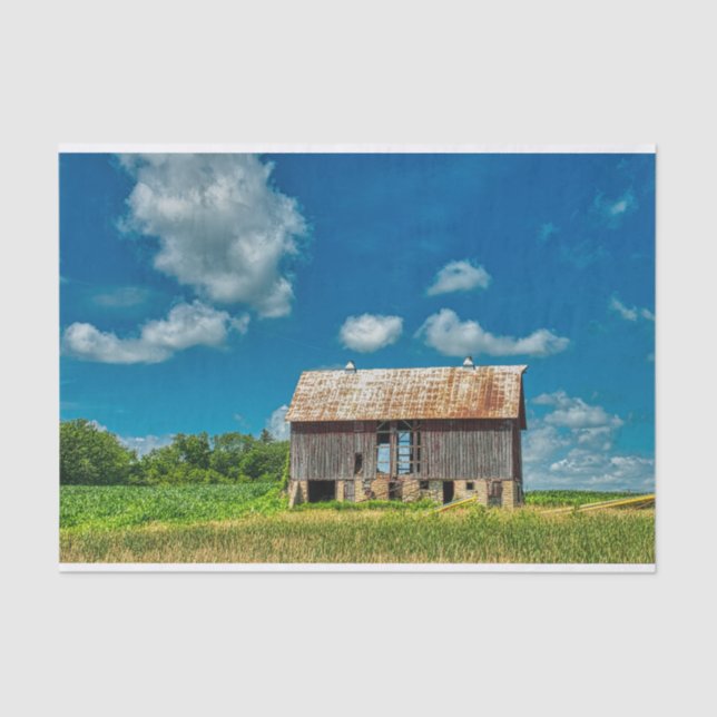 Isolated Weathered Barn on Stones "Stilts" Tissue Paper (Front)