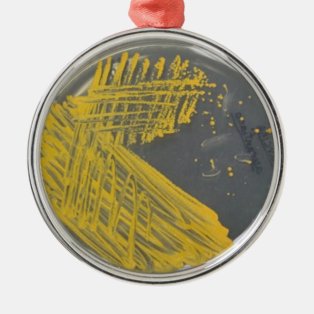 Isolation Streak of Bacteria Metal Tree Decoration (Front)