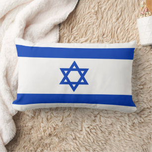 Israel flag lumbar cushion