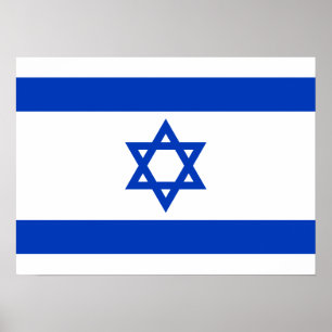 Israel Flag Poster