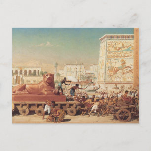 Israel in Egypt Postcard