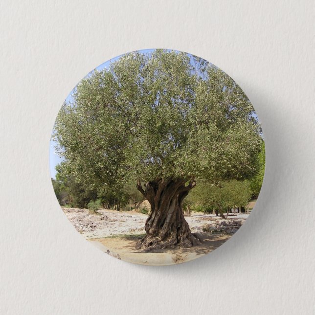 Israel Olive Tree 6 Cm Round Badge (Front)
