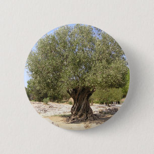 Israel Olive Tree 6 Cm Round Badge