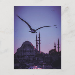 Istambul At Sunset. Postcard