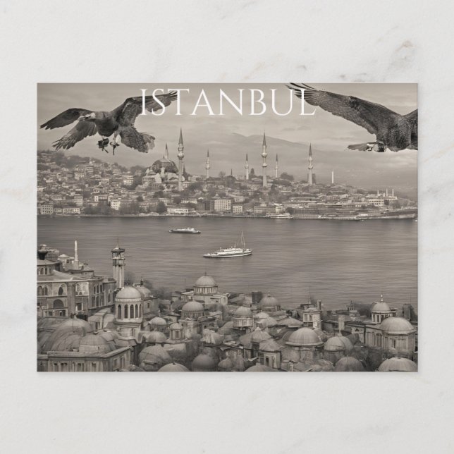 Istanbul (6) postcard (Front)
