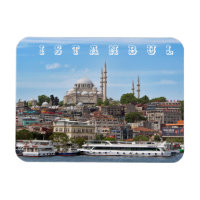 Istanbul. Cityscape.