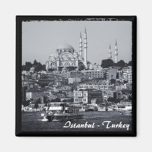 Istanbul - Sultan Ahmed, Turkey 2 (Fridge Magnet) Magnet