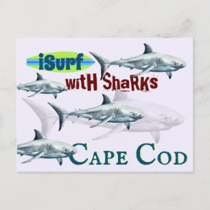 iSurf with Sharks Cape Cod, MA Surfing Shark Postcard