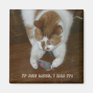 IT ARE MINE. I HAS IT! MAGNET