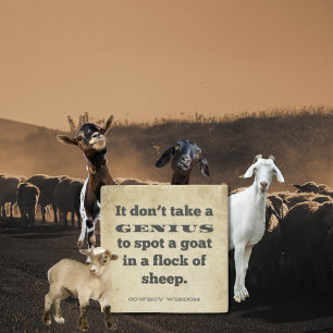 It don't take a   Cowboy Wisdom   Southern Quotes Stone Coaster