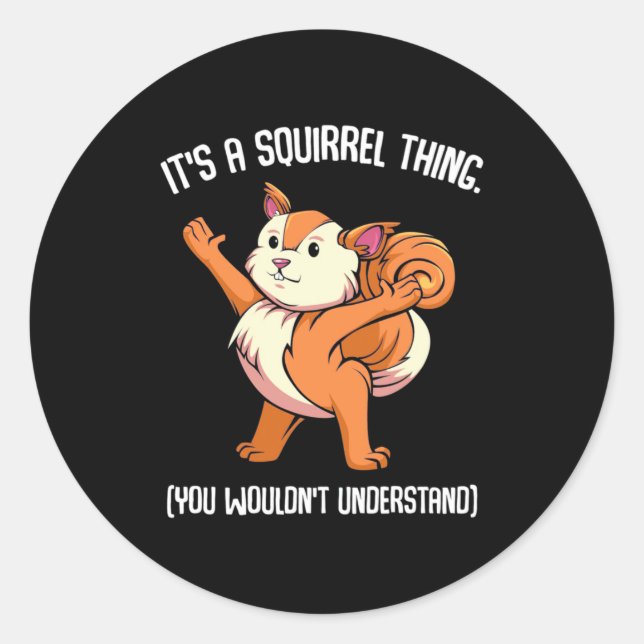 It Is A Squirrel Thing You Would Not Understand Classic Round Sticker (Front)