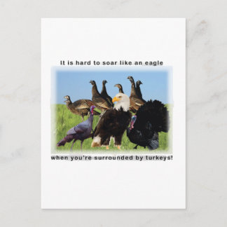 It is hard to soar like an eagle quotation postcard
