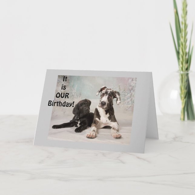 IT IS "OUR" BIRTHDAY-GREAT DAY! CARD (Front)
