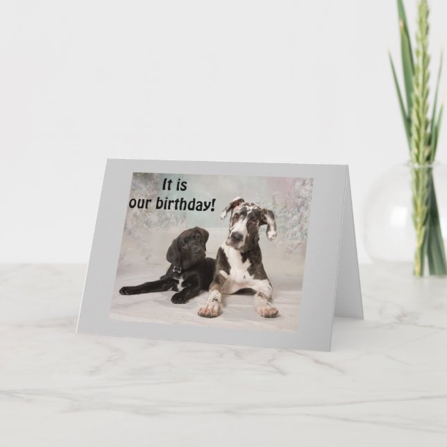 IT IS "OUR" BIRTHDAY-GREAT DAY! CARD (Front)