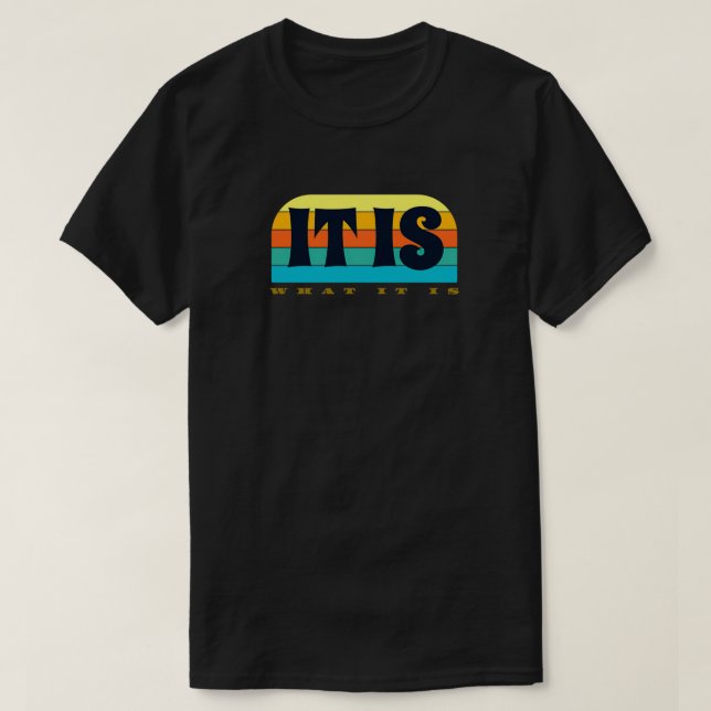 it is what it is 2 T-Shirt (Design Front)