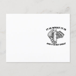 It Is What It Is And It Is Not Great Racoon Postcard