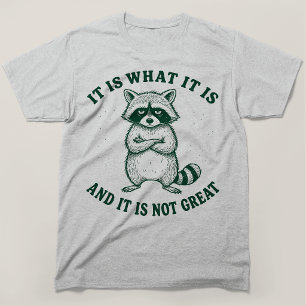It Is What It Is And It Is Not Great Racoon T-Shirt