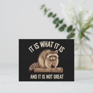 It Is What It Is and It Is Not Great Racoon Xmas Holiday Postcard