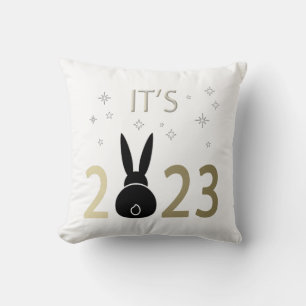 It’s 2023 Rabbit Cushion