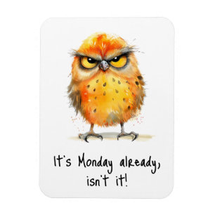 It’s Monday Already Isn’t It Grumpy Bird Funny Magnet