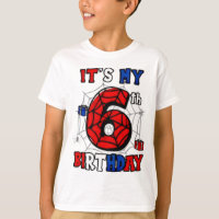 It’s My 6th Birthday Spider Superhero