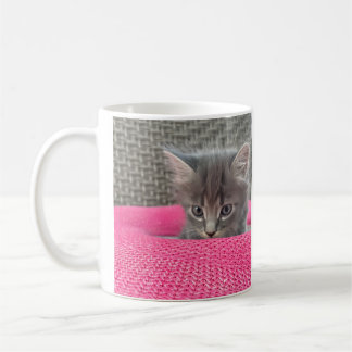 It’s not my fault. Office Humor. Cat Coffee Mug. Mug