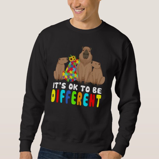 It s Ok To Be Different Capybara Autism Awareness Sweatshirt (Front)