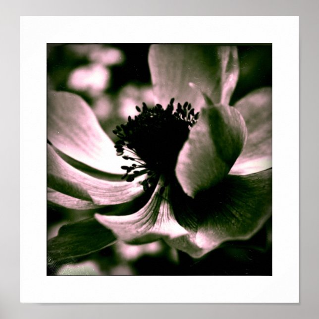 It was a beautiful day... Funeral poster (Front)