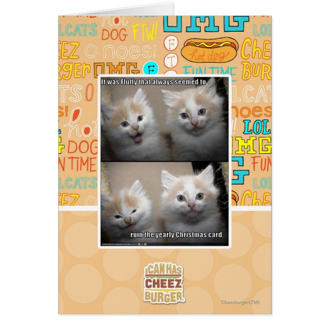 It was Fluffy (Front)