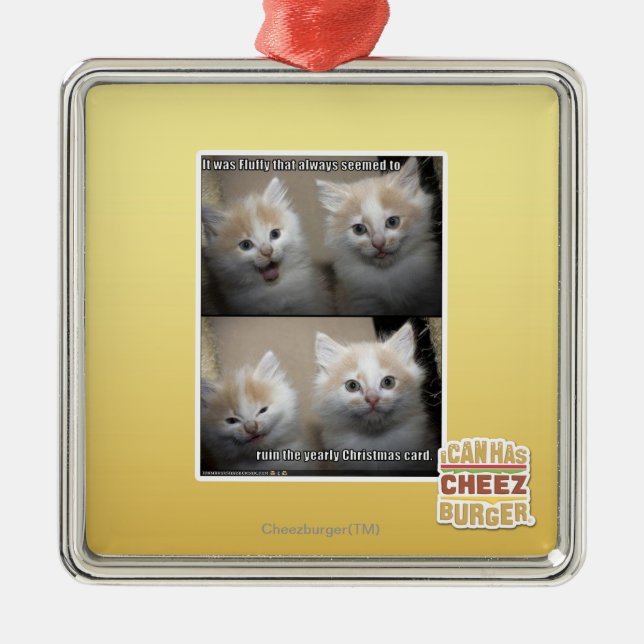 It was Fluffy Metal Ornament (Front)