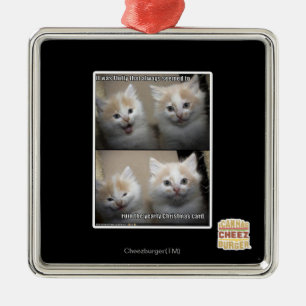 It was Fluffy Metal Ornament