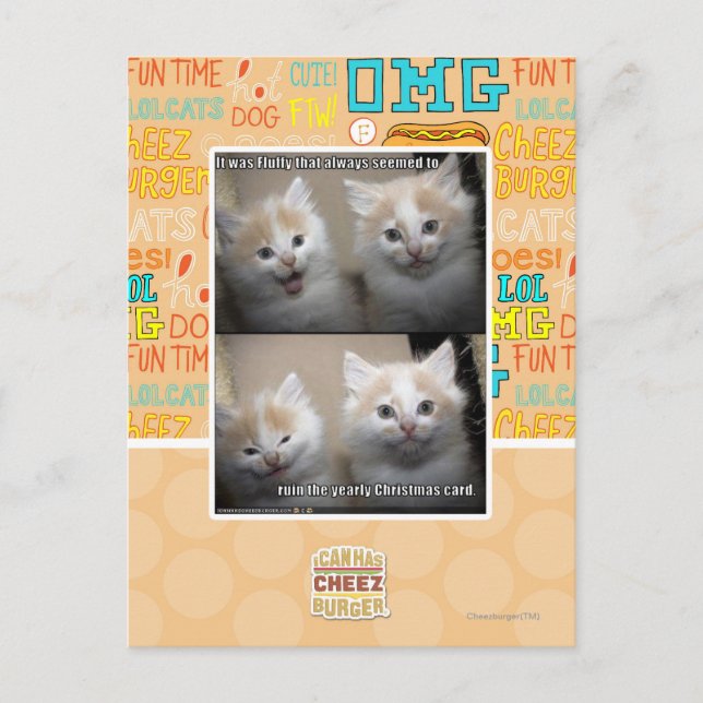 It was Fluffy Postcard (Front)