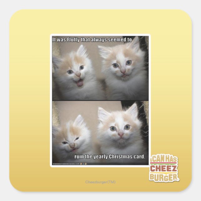 It was Fluffy Square Sticker (Front)