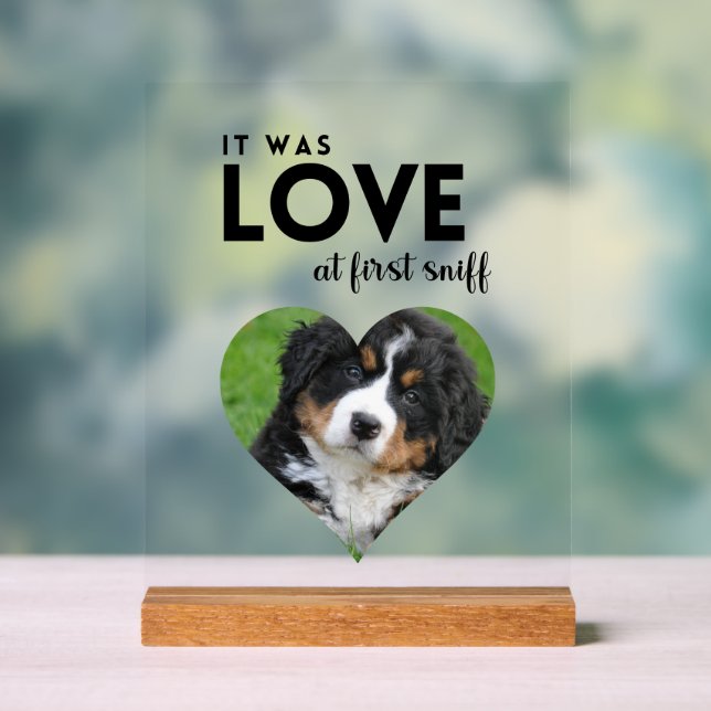It was LOVE Custom photo Dog Memorial  Acrylic Sign (Neutral)