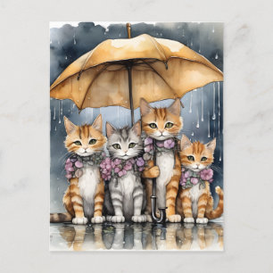 It was raining outside, so the mother cat called h holiday postcard