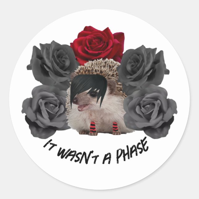 It Wasn't a Phase Emo Hedgehog Classic Round Sticker (Front)