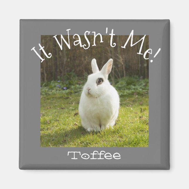 It Wasn't Me! Custom Pet Photo Dog Bunny Cat Child Magnet (Front)