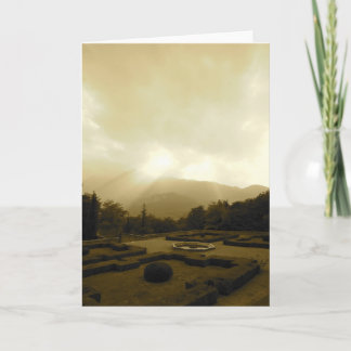 Italian cards, Trento Card