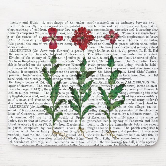 Italian Carnation 1 Mouse Pad (Front)