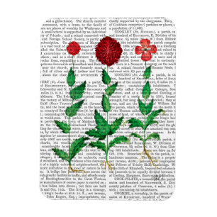 Italian Carnation 2 Magnet