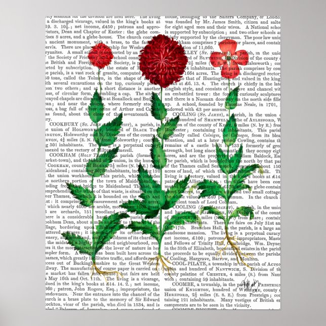 Italian Carnation 2 Poster (Front)