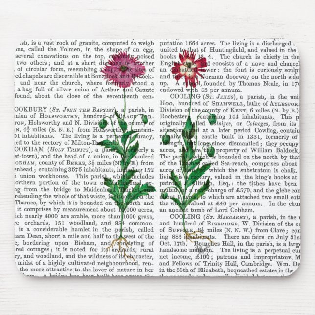 Italian Carnation 3 Mouse Pad (Front)