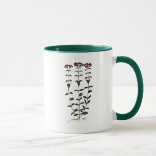 Italian Carnation 6 Mug